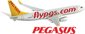 Pegasus